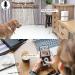 SKYMEE Petalk AI II Dog Camera Automatic Treat Dispenser 5G WiFi Full HD Pet Camera with 180 Pan Full-Room View Night Vision Two Way Audio for Dogs and Cats Compatible with Alexa (Support 5G WiFi) - Buy Online on SooperMarket.com
