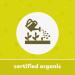Yupik Organic Oat Groats 2.2 lb - Non-GMO & Vegan | Buy Online Now - Buy Online on SooperMarket.com