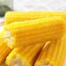 Delicious yellow glutinous corn stick sweet corn fresh corn vegetable snacks nutritious breakfast Coarse grains cereal Dim sum dessert sweets Chinese snack gift pack convenience food (8 bags) - Buy Online on SooperMarket.com