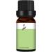 Tea Tree Massage Oil - Moisturizing Aroma Fragrance Oil for Relaxation & Skin Care | Gentle & Portable for Face & Body - Buy Online on SooperMarket.com