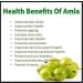 nalAmudhu Dried Indian Gooseberry Sweet & Sour Amla Slices 250g - Buy Online on SooperMarket.com