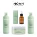 NOAH Yal Thyme + Hyaluronic Acid Shampoo and Conditioner Set - 8.5 fl.oz (250 ml) - Cruelty Free, Vegan, Anti-aging, Detangling, Fortifying and Moisturizing - Buy Online on SooperMarket.com