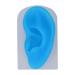 Silicone Left Ear Piercing Model - Flexible & Durable Teaching Tool with Transparent Base - Buy Online on SooperMarket.com