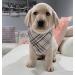 Lionet Paws Dog Bandana | Triangular Headscarf for Small Medium & Large Dogs - Grey (Pack of 1) | International Shipping Available - Buy Online on SooperMarket.com