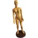 Education Model Toy Model Anatomy Professional Medical Acupuncture Female 48cm 19" - Buy Online on SooperMarket.com