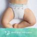 Pampers Pure Protection Newborn/Size 1 Diapers - 32 Count | Hypoallergenic & Unscented | Jumbo Pack - Buy Online on SooperMarket.com