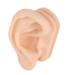 Piercing Practice Model Soft Silicone Ear Model Simulation Ear Acupuncture Practice Model For Hospital Display