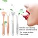 2-Part Stainless Steel Tongue Scraping Set - Reusable Non-Slip Handle Storage Box - Tongue Brush for Adults & Kids (Rose Gold) - Buy Online on SooperMarket.com