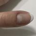 Alessandro Striplac French Stamper | Silicone Stamp for Perfect French Nail Art - International Shipping Available - Buy Online on SooperMarket.com