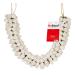 GoDazzl Artificial Jasmine Mogra Hair Gajra Garland Juda Bun Decoration - White 28 CM Long - Realistic Hair Accessory for Women and Girls - Buy Online on SooperMarket.com