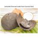 Nature's Beauty Activated Charcoal Facial Cleanser - Detoxifying Citrus Scent - 6 fl oz - Made in USA - Buy Online on SooperMarket.com