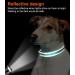 Joytale Reflective Dog Collar for Small Dogs - Turquoise S Pack of 1 | International Shipping - Buy Online on SooperMarket.com