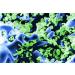 SERA SIBORAX Aquarium Filter Material 1000 ml - Organic Biological Filter Medium for Aquariums (Pack of 2) | Maximum Filtration Efficiency - Buy Online on SooperMarket.com