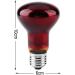 POFET 2pcs Reptile Heating Bulbs Durable Infrared Heat Lamp Warming Light Bulb Red Pet Light for Reptile and Amphibian Lizard Tortoise Spider Snake Chameleon 220-240V(100W) - Buy Online on SooperMarket.com