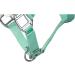 Shop RL24 Halter with Plush Padding - BASICLINE in 6 Colors for Shetland Pony Thoroughbred & Warmblood | Light Green Warmblood Edition - Buy Online on SooperMarket.com