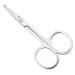 TEMKIN Nose Hair Trimmer Nose Hair Scissors Mini Stainless Steel Round Head Beauty Trimmer Nose Hair Trimmer Portable Ergonomics Nose Hair Cutter Trimmers (Color : Silver)