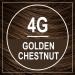 NATURTINT 4G Golden Chestnut Hair Color | Organic & Gentle Formula - 5.75 oz | Shop Internationally - Buy Online on SooperMarket.com