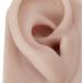 Silicone Ear Model Left and Right Soft Flexible Model Fake Ear Piercing Practice Human Ear Model Silicone Ear for Jewelry Display Acupuncture Teaching (#3) - Buy Online on SooperMarket.com