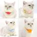 Moosh Silicone Airtag Holder for Dogs & Cats | Stylish & Safe Pet Tracker Accessory in Turquoise Green - Buy Online on SooperMarket.com