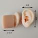Soft Silicone Human Ear Simulation Model Learning Accessory for Ear Extraction of The Hearing Conduit Suitable for Visual Extraction Practice - Buy Online on SooperMarket.com