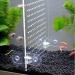 Acrylic 10 Gallon Aquarium Divider Isolation Board with Suction Cups - Buy Online on SooperMarket.com