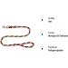 Jumbo Dog Leash for Large Dogs - 80kg Capacity 4m Training Line 17 Colors | Durable & Comfortable Hand Loop - Buy Online on SooperMarket.com