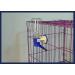 500ml Pet Water Bottle - No Drip Automatic Feeder for Small Animals - Leak Proof, Hanging Dispenser for Dogs, Cats, Rabbits, Hamsters, Hedgehogs - BPA Free, Blue - Buy Online on SooperMarket.com