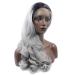BGHJUE Silver Grey Black Lace Front Wig - 22 Long Wave Synthetic Wig for Women - Buy Online on SooperMarket.com