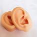 Soft Silicone Ear Model Artificial Human Ear for Acupuncture Ohr Picking Practice Practice Medical Teaching Display Props Left Right 1 Pair - Buy Online on SooperMarket.com