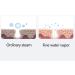 Facial Steamer Nano Ionic Face Steamer Deep Cleaning SPA Humidifier for Skin Moisturizing Cleansing Home Sauna SPA Face Humidifier Atomizer - Buy Online on SooperMarket.com