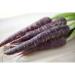 Buy Fresh Edible Carrots | Colorful Purple Carrots - 1.00 KG - International Shipping Available - Buy Online on SooperMarket.com