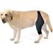 BELLIFFY Dog Foreleg Brace Puppy Knee Braces Dog Acl Brace Hind Leg Paws Pet Mesh Fabric Large Dog Elbow Pads S As Shown - Buy Online on SooperMarket.com