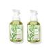 Bath & Body Works Gentle Foaming Hand Soap in Cucumber Lily (2 Pack) Cucumber Lily 8.75 Fl Oz (Pack of 2)