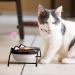 Y YHY Raised Ceramic Cat Food Bowls Set - 12 oz Elevated Pet Dishes with Stand for Cats and Small Dogs - Dishwasher Safe - Buy Online on SooperMarket.com