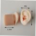 Silicone Ear Models for Practice - 1 Pair Ear Picking & Display Samples - Buy Online on SooperMarket.com