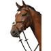 Collegiate Syntovia+ Padded Raised Grackle Bridle in Black for Pony - Premium Equestrian Gear | International Shipping Available - Buy Online on SooperMarket.com