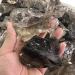500g Natural polishing Smoky Quartz Tumbled Stone Crystals for Chakra Reiki Balancing - Buy Online on SooperMarket.com