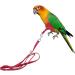 Balacoo Flight Harness for Cockatiels Parrot Harness Training Parrot Bird Harness Parakeet Cinch Belt Birdemic Parrot Accessories Birds Leash Bird Collars Small Parrot Strap Red - Buy Online on SooperMarket.com