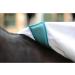 Weatherbeeta Sweet Itch Shield Combo Neck Fly Rug 7ft - White & Blue | Best Protection for Horses | International Shipping Available - Buy Online on SooperMarket.com