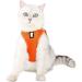 Buy Cat Dishes & Harness Set | Outdoor Leash & Bowls for Cats & Dogs - International Shipping - Buy Online on SooperMarket.com