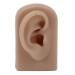 Reusable Human Ear Model - Right Ear for Piercing Training & Display (Brown) - Buy Online on SooperMarket.com