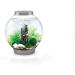 Biorb 78134 Fairytales Decor Set - Realistic Artificial Aquatic Plants Roots & Stones for Freshwater & Saltwater Aquariums | 15L Aquarium Design - Buy Online on SooperMarket.com