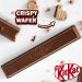 Kit Kat Milk 2 Finger Chocolate Biscuit Bars Multipack 21 x 20.7 g (Pack of 2) - Buy Online on SooperMarket.com