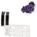 Buy Cikonielf Magnetic Coral Frag Rack - 4 Hole Transparent Acrylic Aquarium Coral Holder for International Shipping - Buy Online on SooperMarket.com