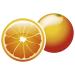 Ferrero Tic Tac Fresh Orange - Delicious Orange Flavored Dragees - 98g Pack for International Shipping - Buy Online on SooperMarket.com