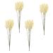 Amosfun 24pcs Wheat Ear Flower Silk Flower Office Decore Window Trim Decor for Living Room Fake Wheat Ear Wheat Decoration Natural Decorate Artificial Flower Straw Flower Arrangement Beige 30X1.5CM