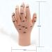 Acupuncture Hand Model Reflexology Acupoint Study Kit - Buy Online on SooperMarket.com