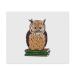 Azeeda LC00023886 Microfiber Glasses Cleaning Cloths Owl on Books Pack of 2