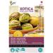 Buzzy Xotica Pepino Melon Pear - Seeds Content: Approx. 15 Seeds - Buy Online on SooperMarket.com