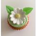 Holly Cupcakes 6 Beautiful Sugar Daisies & 12 Pretty Edible Wafer Leaves - Buy Online on SooperMarket.com